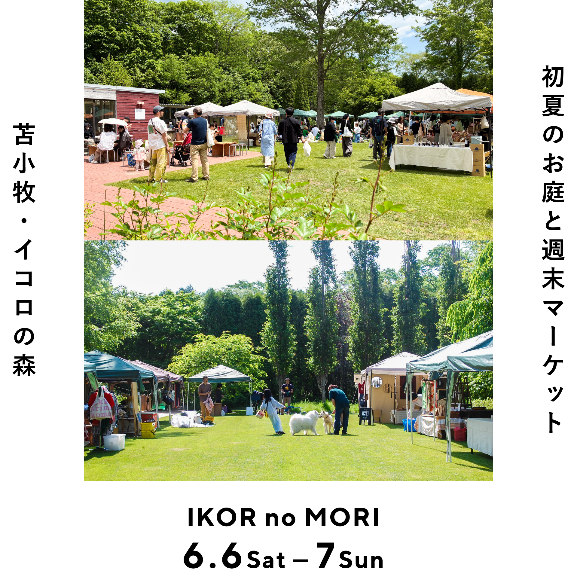苫小牧・イコロの森 6月6日(土)-7日(日)